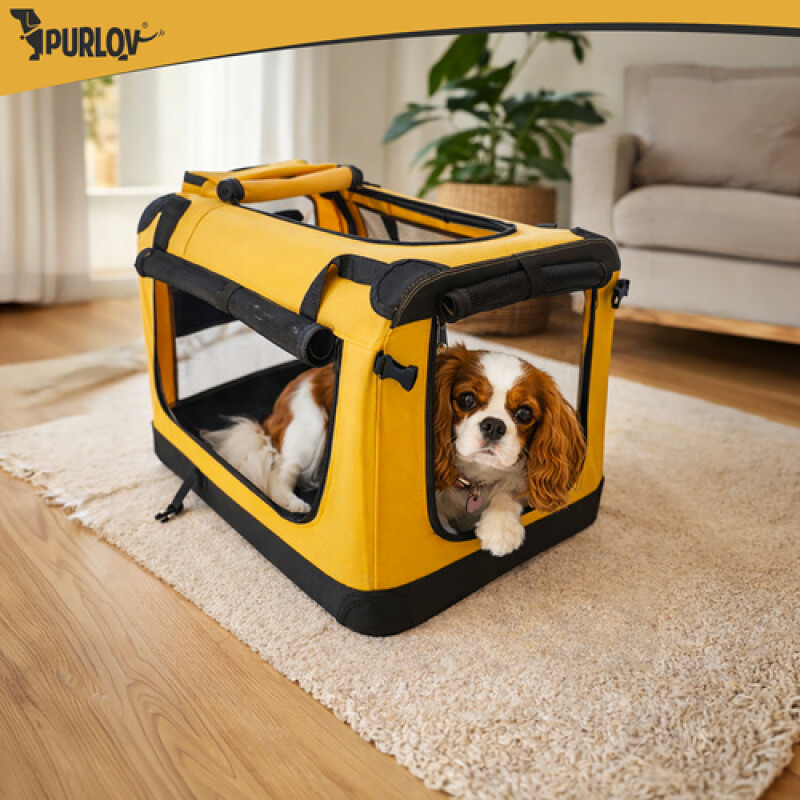 Transporter backpack for dogs and cats