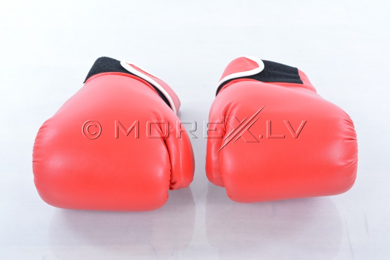 Boxing gloves 12oz