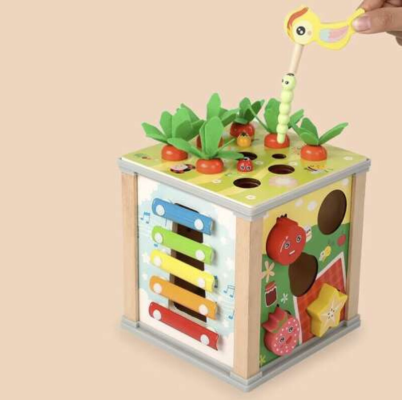 Educational Wooden Cube