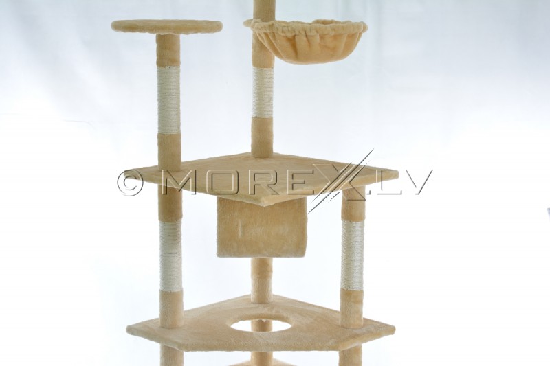 Kassimaja CAT093 Beige