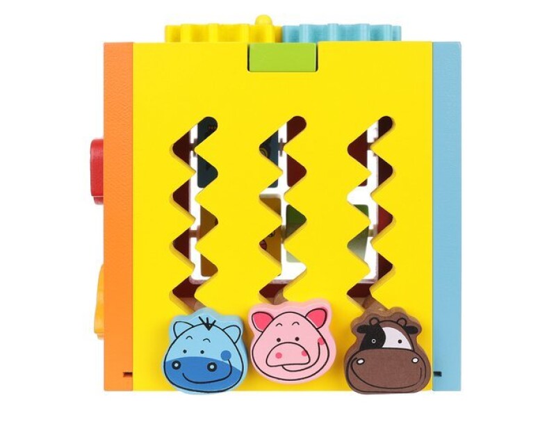 Educational Wooden Cube - Sorter