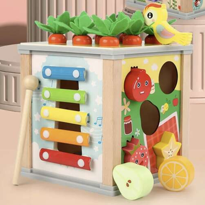 Educational Wooden Cube