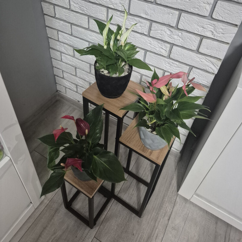 Puķu plaukts 67 cm