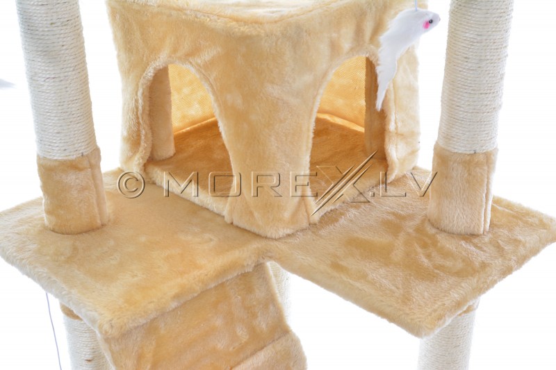 Cat House CAT608 Beige