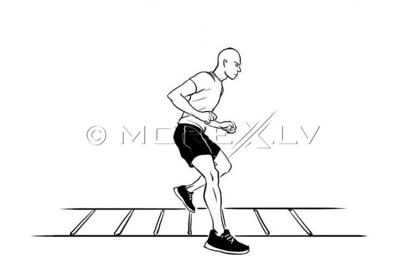 Trepes ātruma treniņiem vingrošanas crossfit kāpnes 6m (00005067)