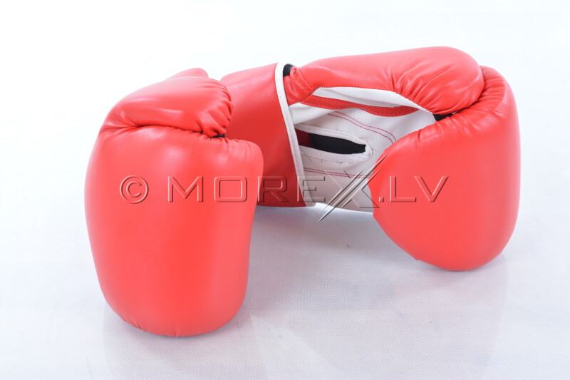 Boxing gloves 12oz