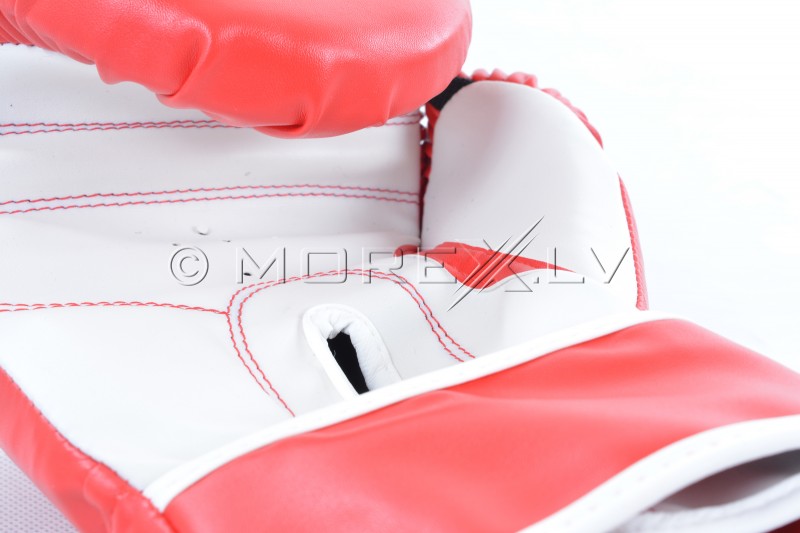 Boxing gloves 10oz