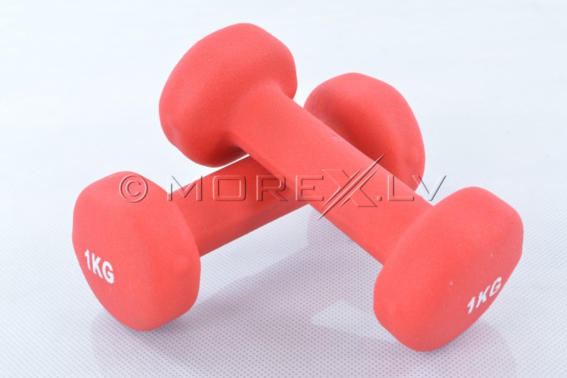 Two vinyl dumbbells 1 kg