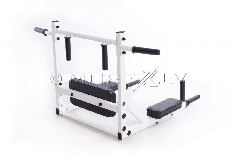 Wall mounted horizontal bar-parallel bars Pioner-3in1