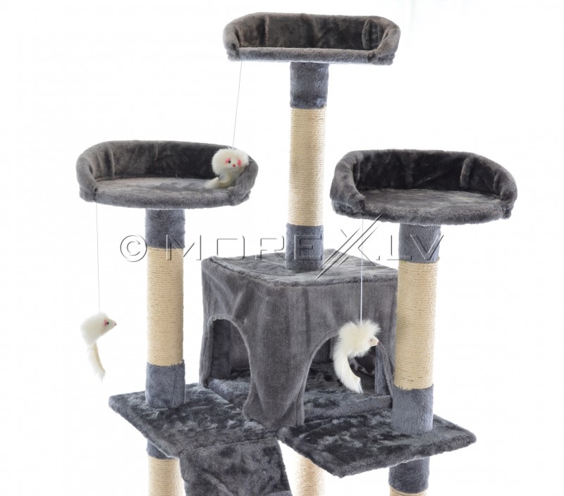 Cat House CAT608 Grey