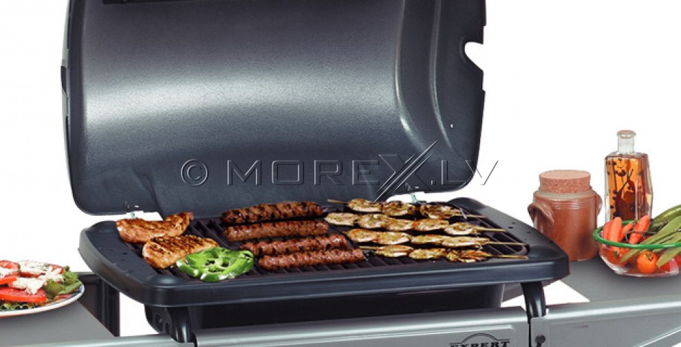Gasgrill Campingaz Expert Basic