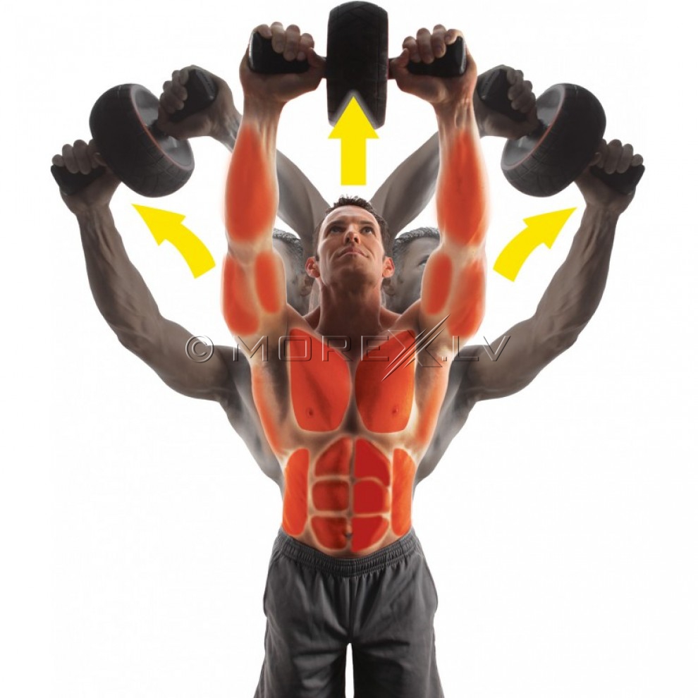 ABS wheel Iron Gym Speed Abs