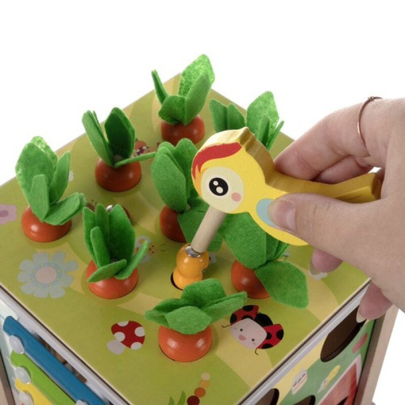 Educational Wooden Cube