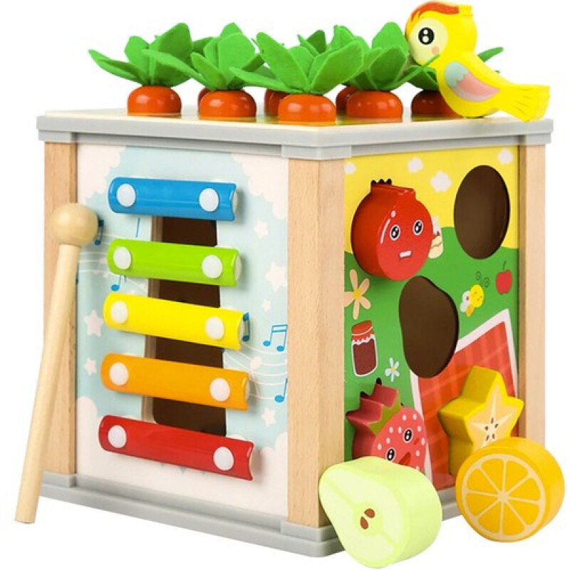 Educational Wooden Cube