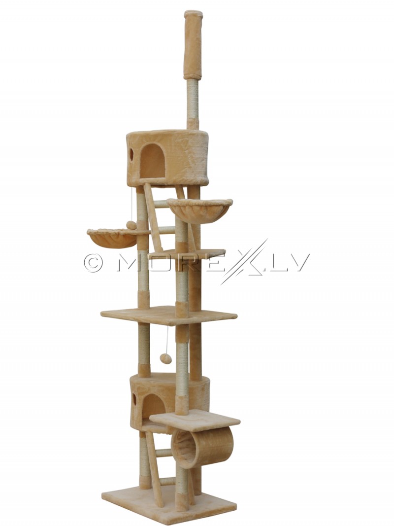 Cat House CAT807 Beige