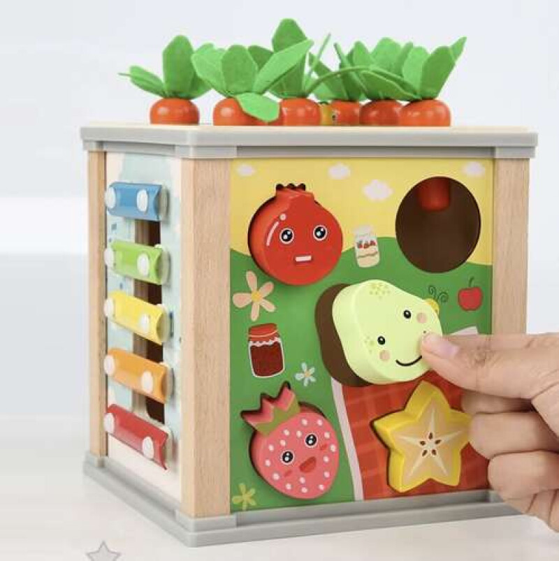 Educational Wooden Cube