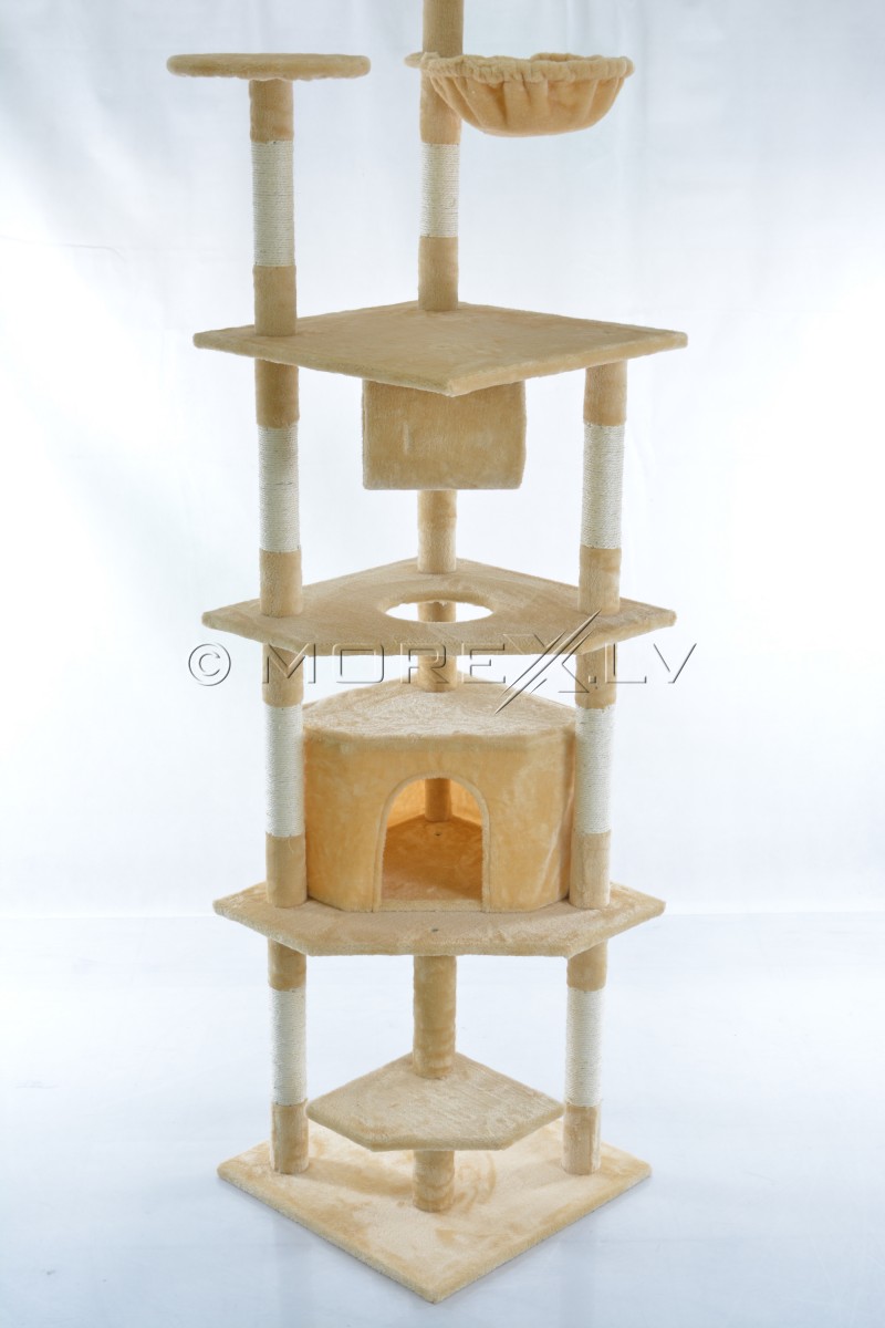 Cat House CAT093 Beige