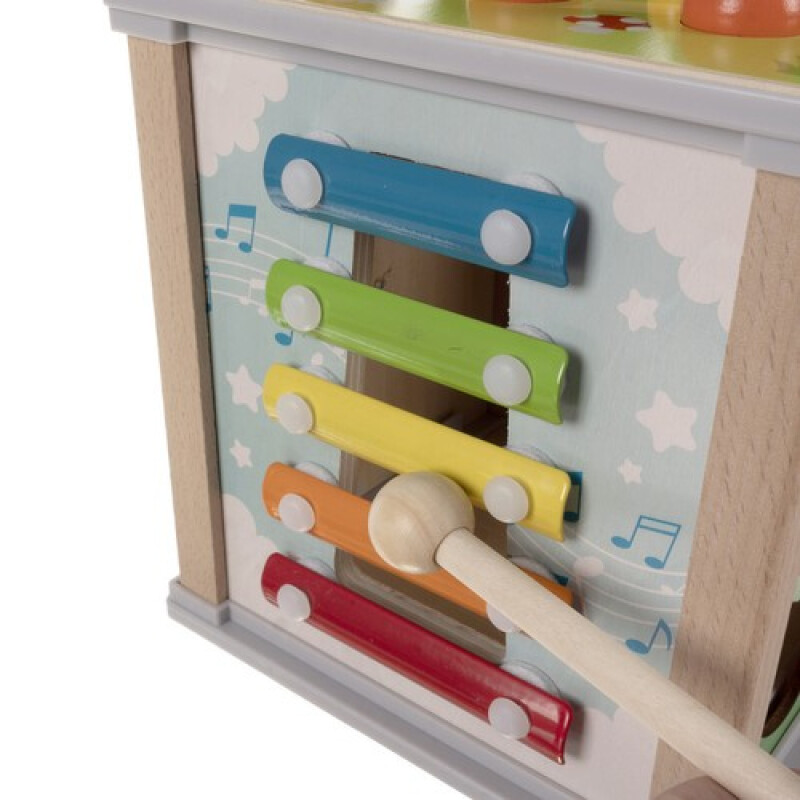 Educational Wooden Cube