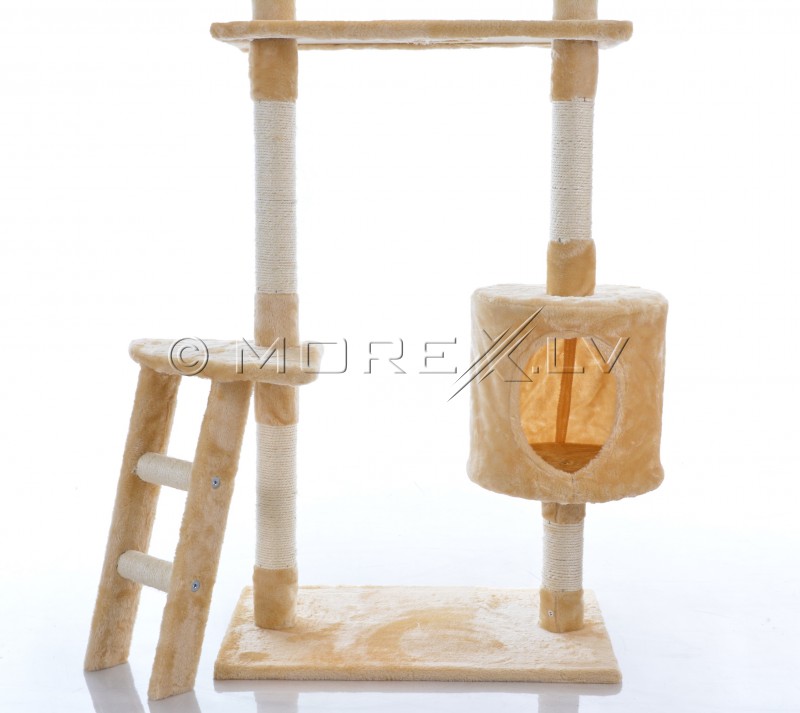 Cat House CAT215 Beige