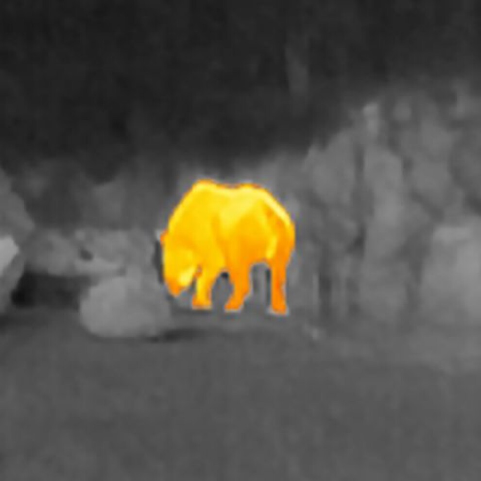 FLIR Scout TK Thermal Imaging Camera