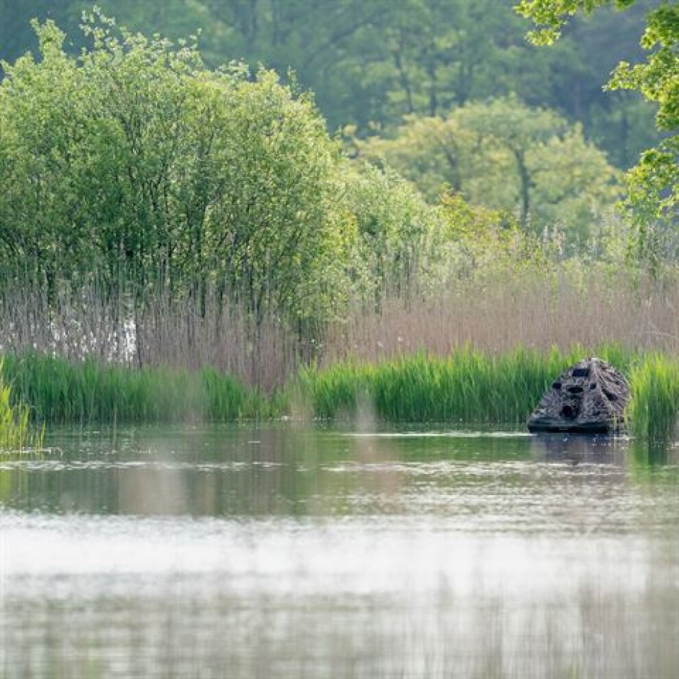 Buteo Photo Gear Floating Hide Grebe II