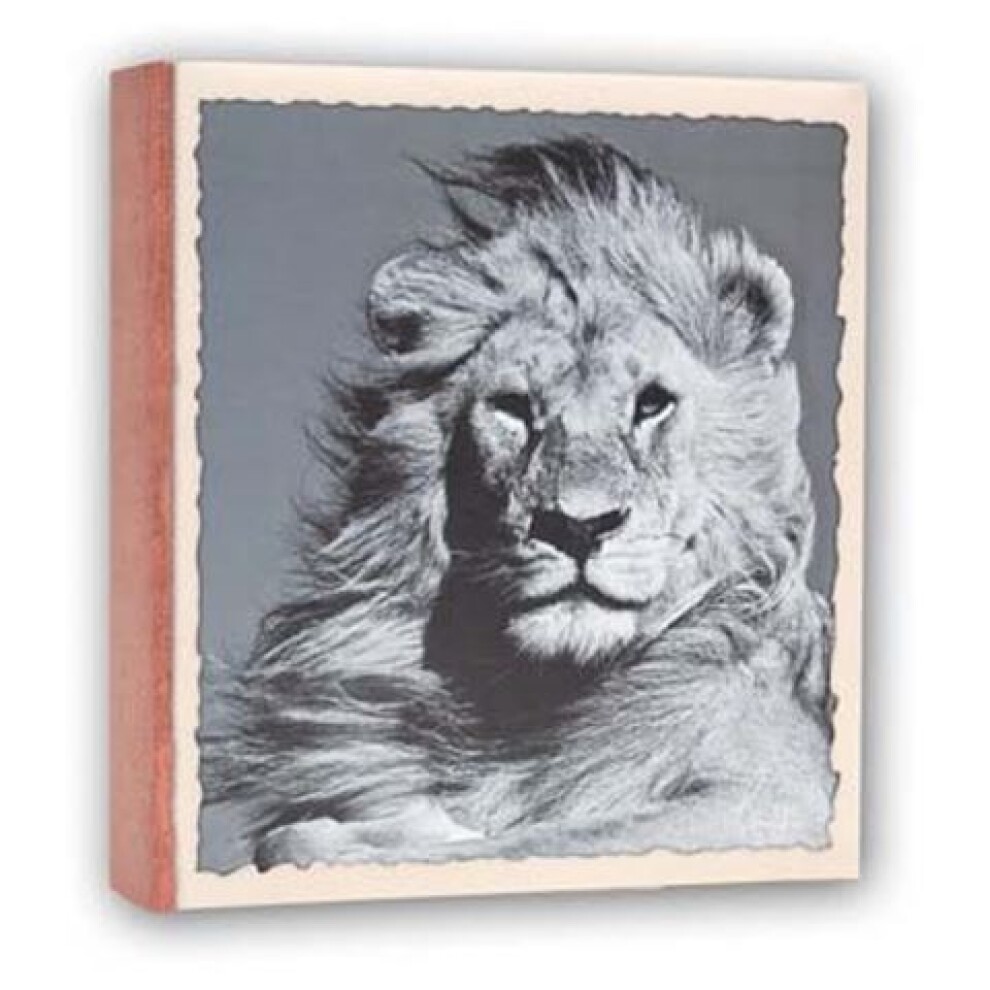 Zep WL57100 Album Slip-in 100 photos 13x19 cm - 12 albums