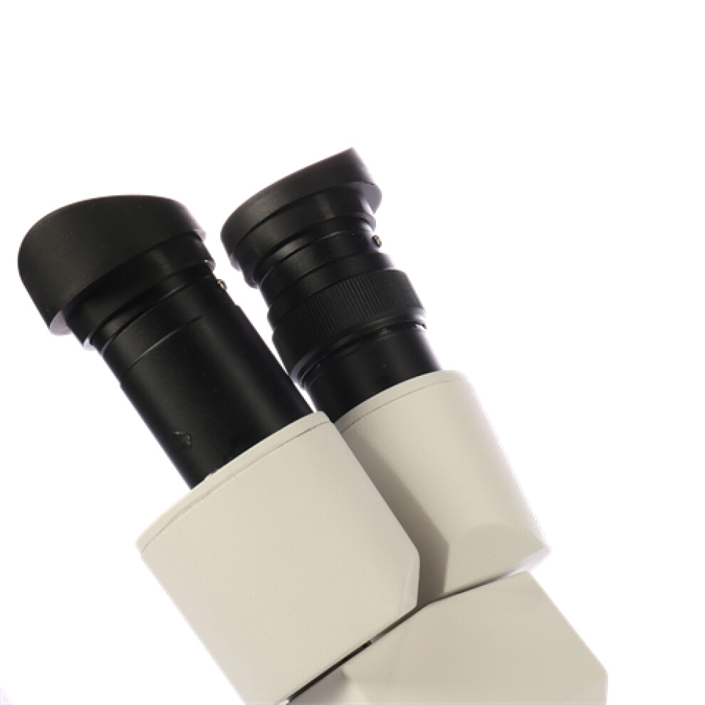 Byomic Stereo Microscope BYO-ST3