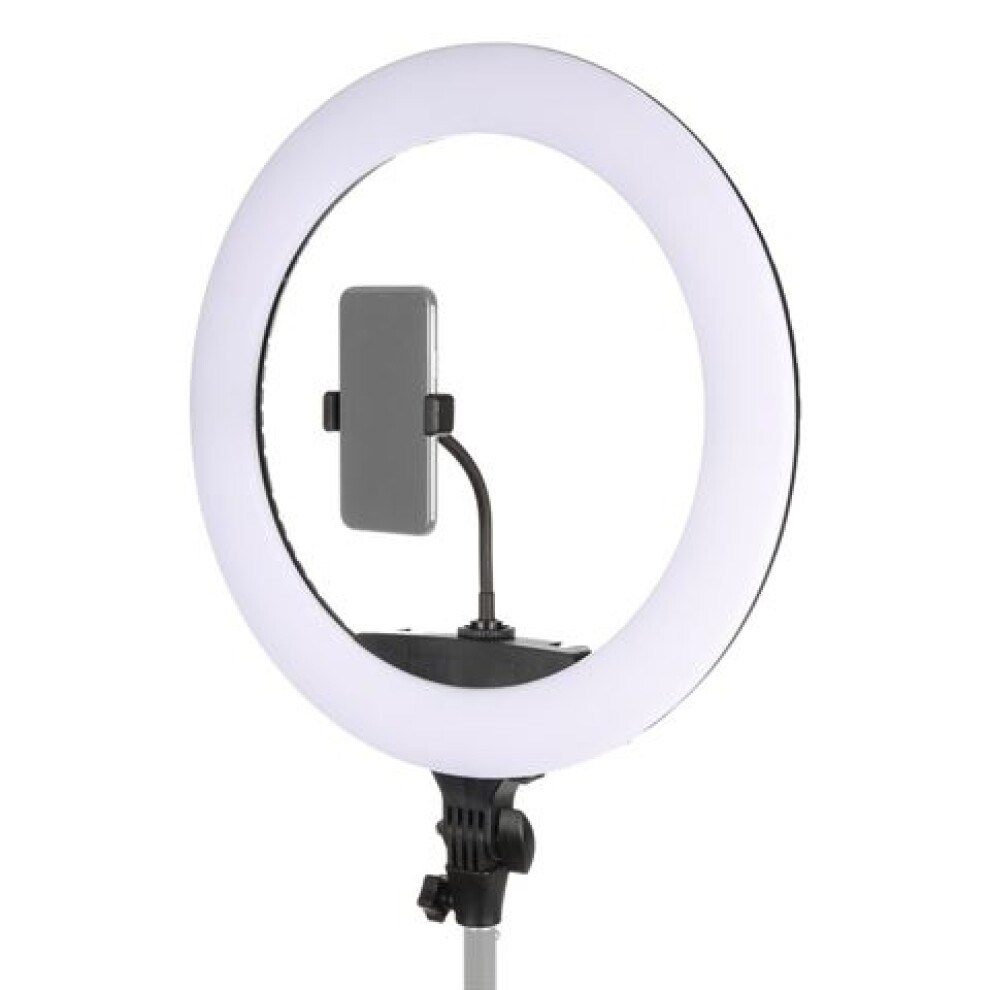 Gredzenveida LED lampa StudioKing 65W LR-650