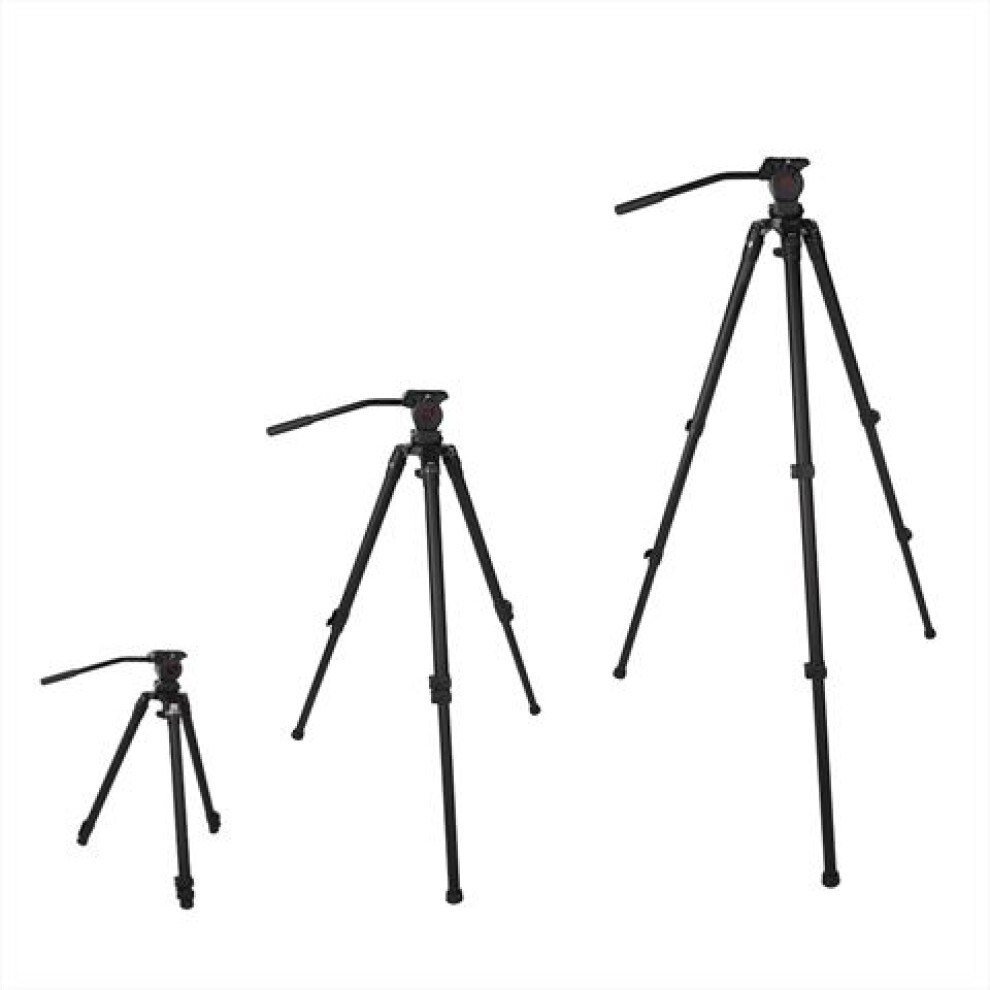 Nest Professional Carbon Fiber Tripod NT-7403CK + Ball Head