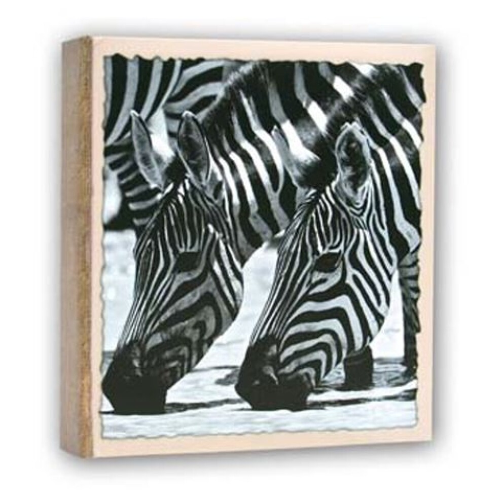 Zep WL57100 Album Slip-in 100 photos 13x19 cm - 12 albums