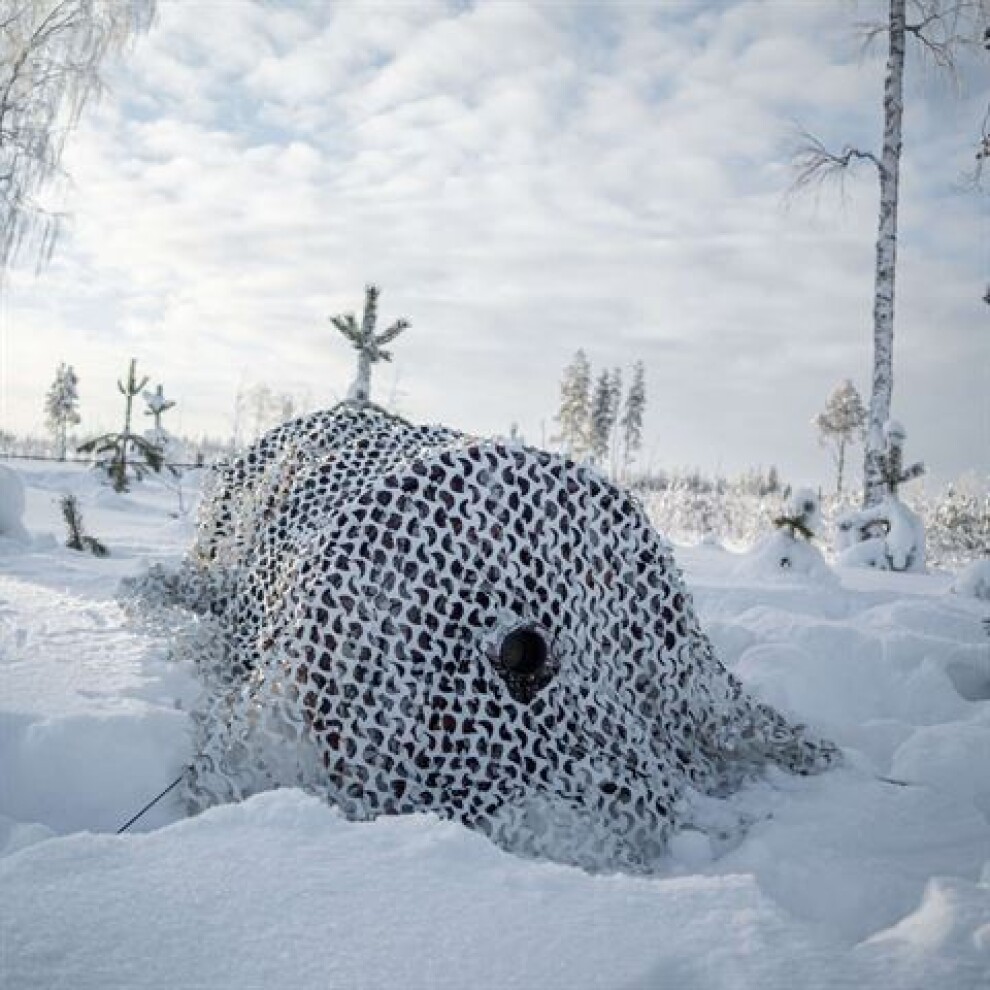 Buteo Photo Gear 3D leafs Camouflage Net Snow 2.4x3 m