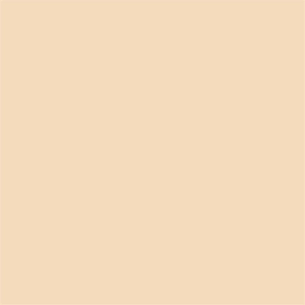 Superior Background Paper 64 Fawn 2.72 x 11m
