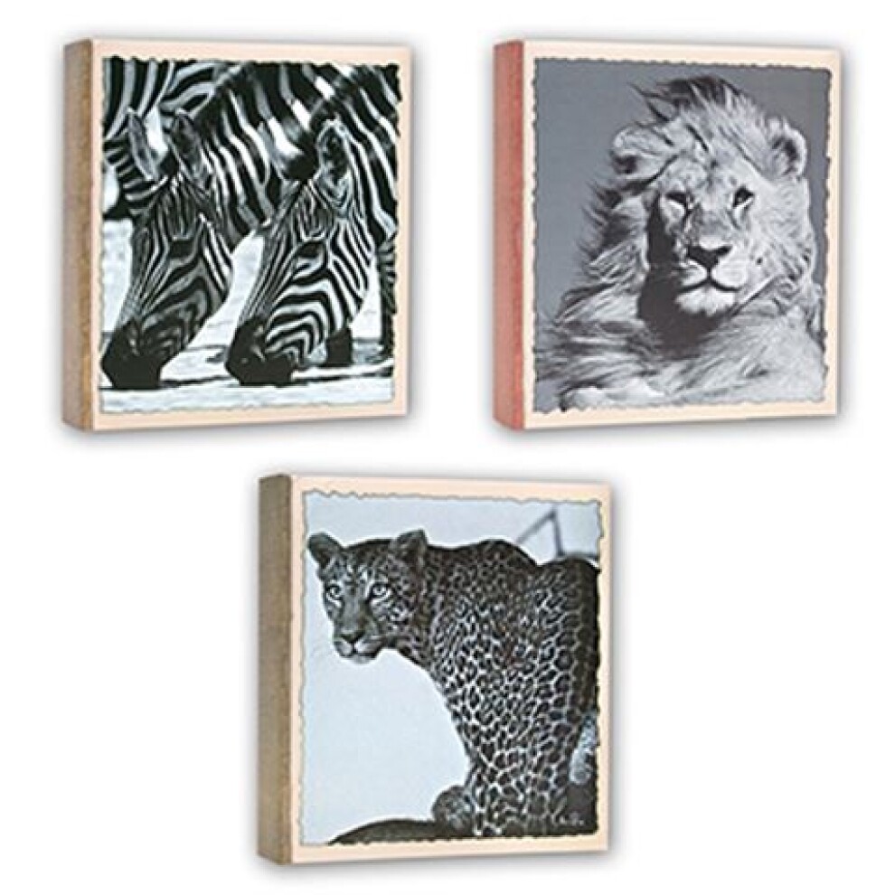 Zep WL57100 Album Slip-in 100 photos 13x19 cm - 12 albums