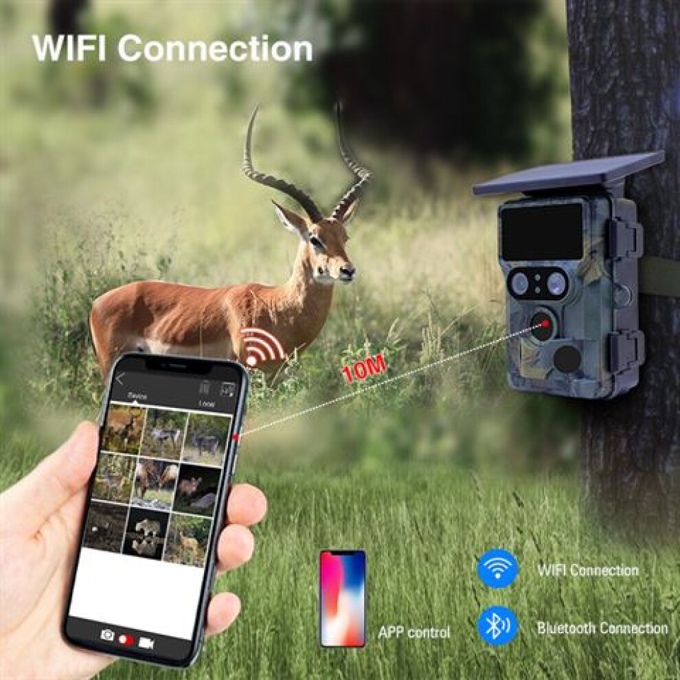 Stealth Gear Nightjar Dual-Cam Solar 4K Wifi Wildcamera