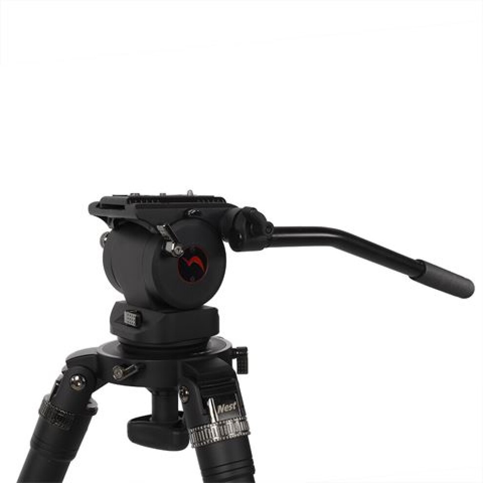 Nest Professional Carbon Fiber Tripod NT-7403CK + Ball Head
