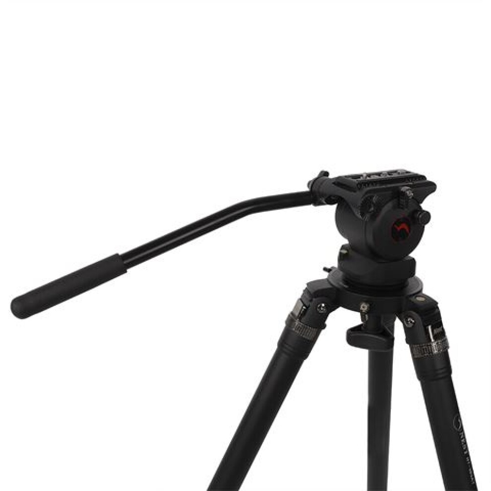 Nest Professional Tripod NT-7603AK + Ball Head