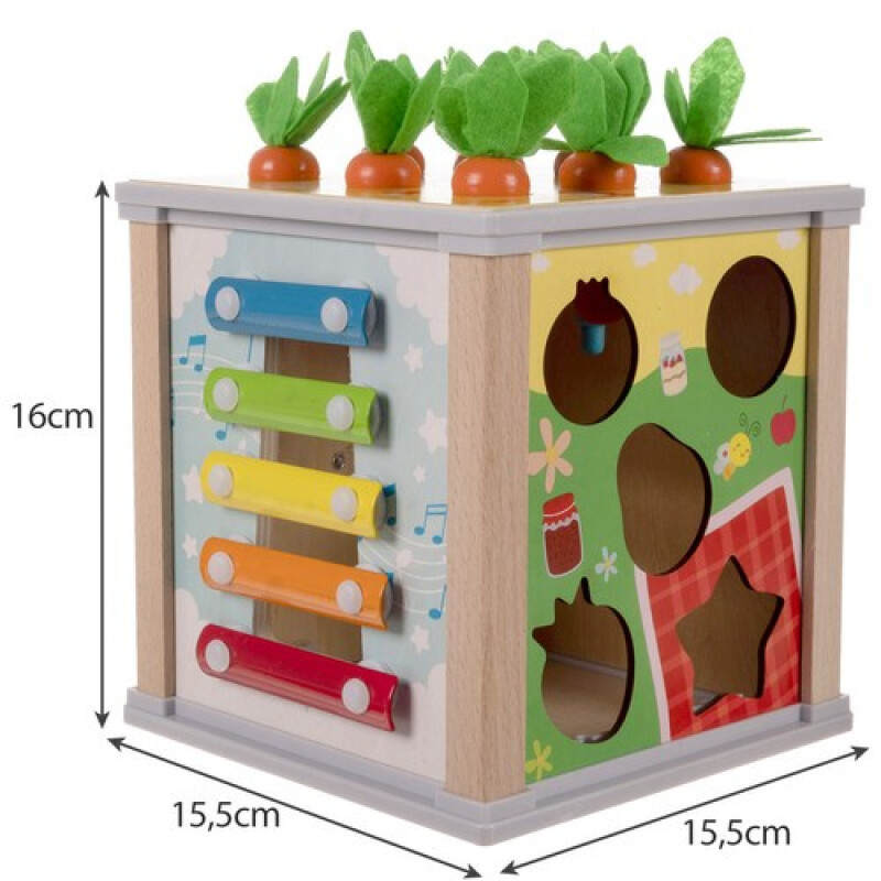 Educational Wooden Cube