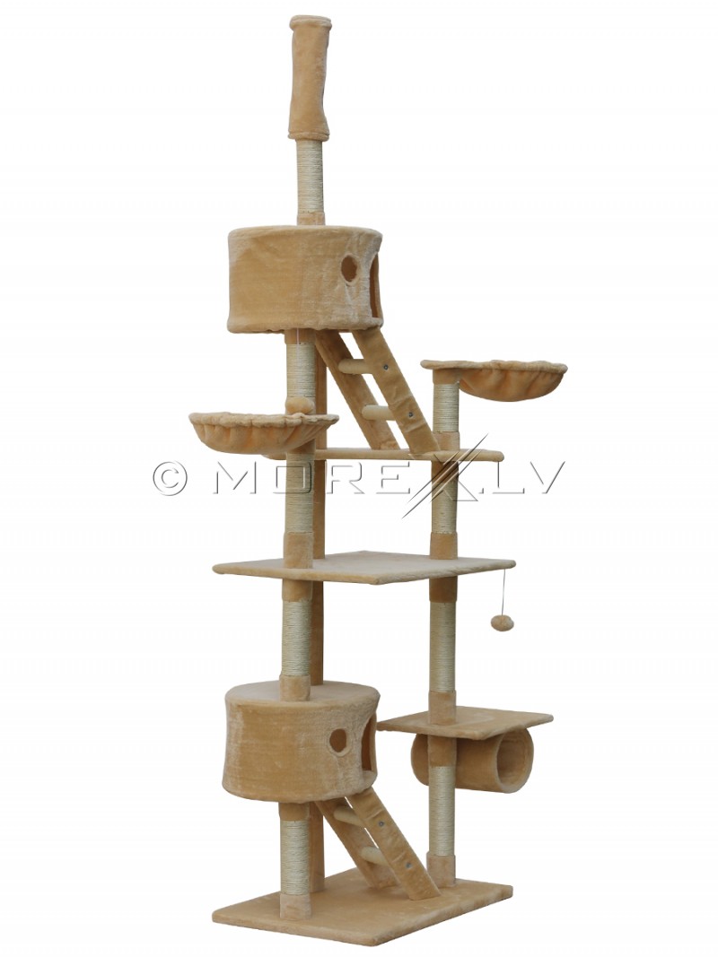 Cat House CAT807 Beige