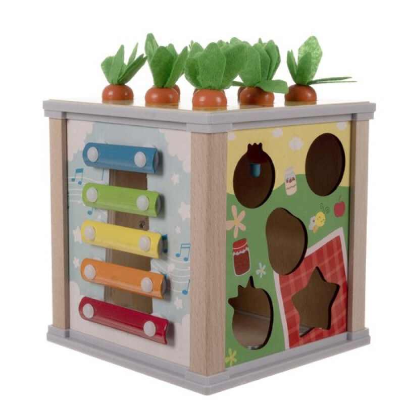 Educational Wooden Cube