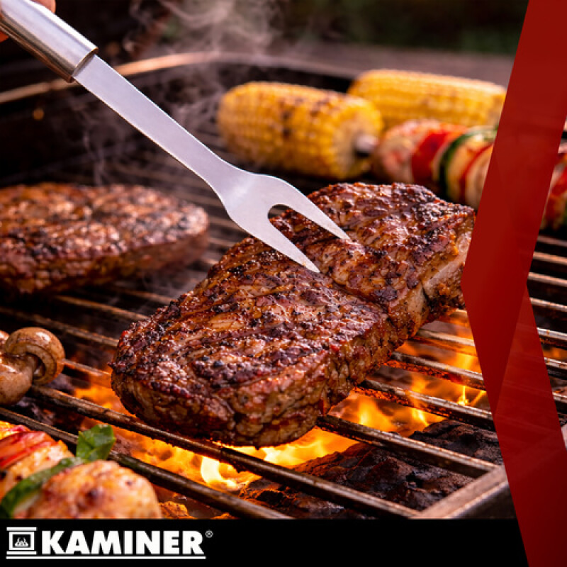 Barbecue utensils - set of 6 accessories + case