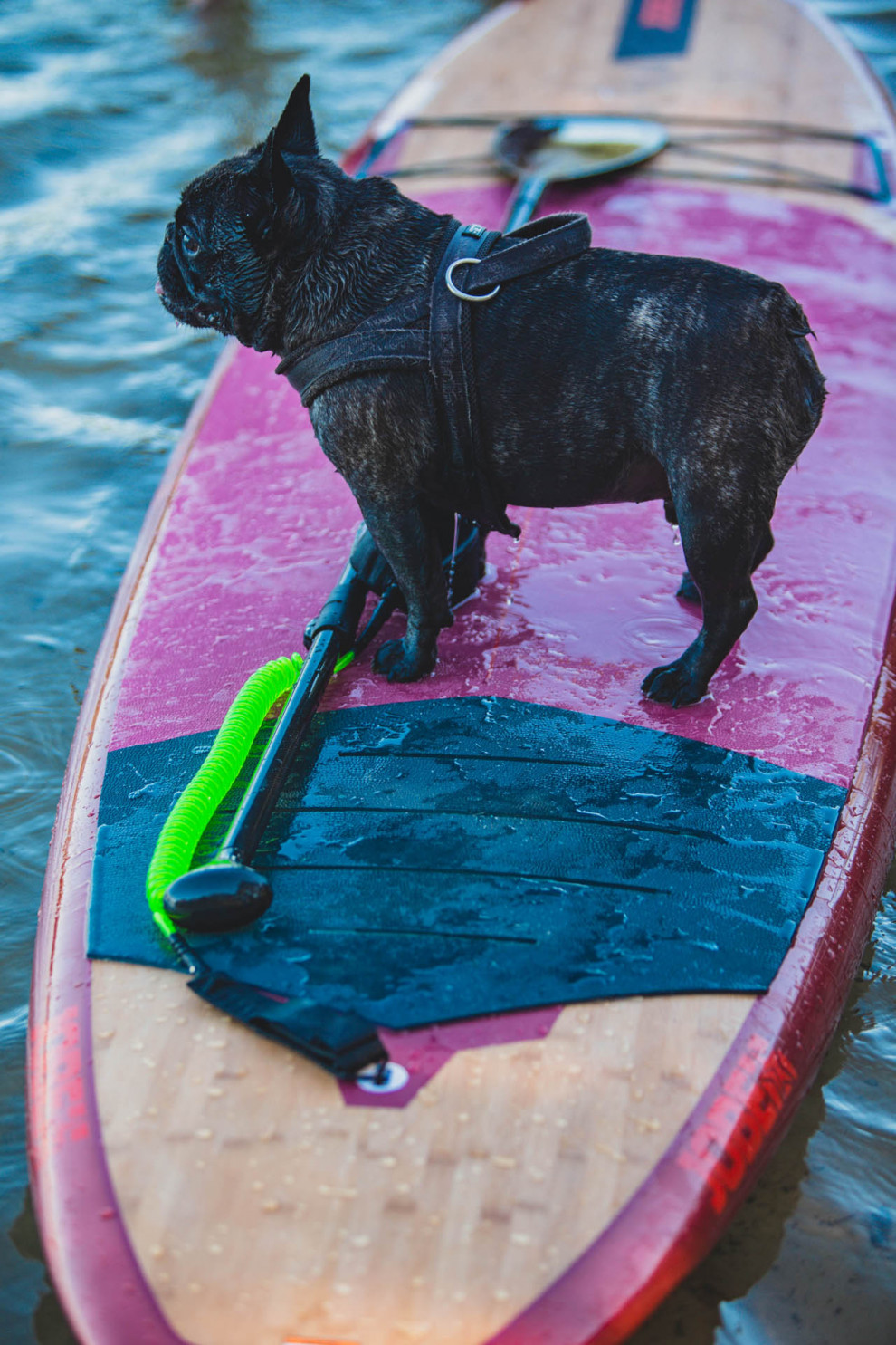 Solid SUP Board Jobe Bamboo Parana 11.6, 350x78.7x13.5 cm