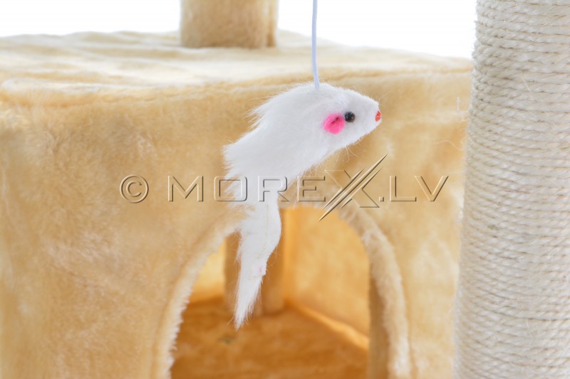 Cat House CAT608 Beige