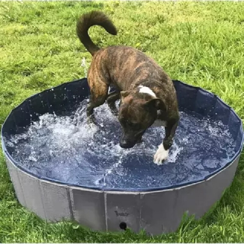 Folding dog pool/pen 100x30