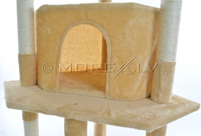 Cat House CAT093 Beige