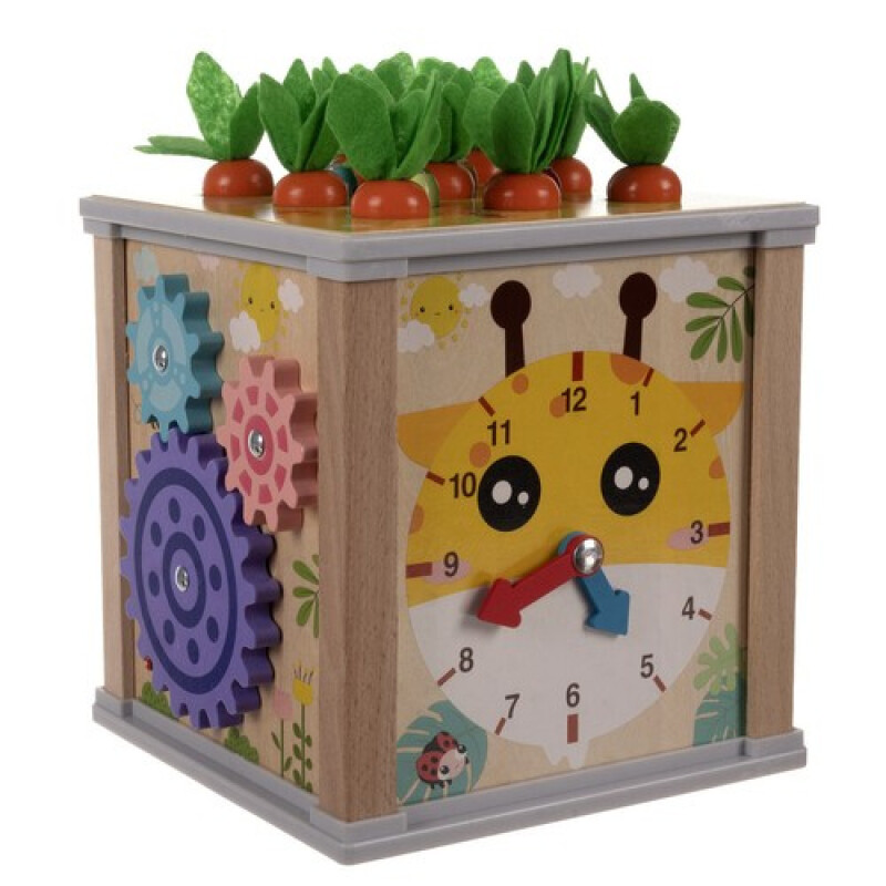 Educational Wooden Cube