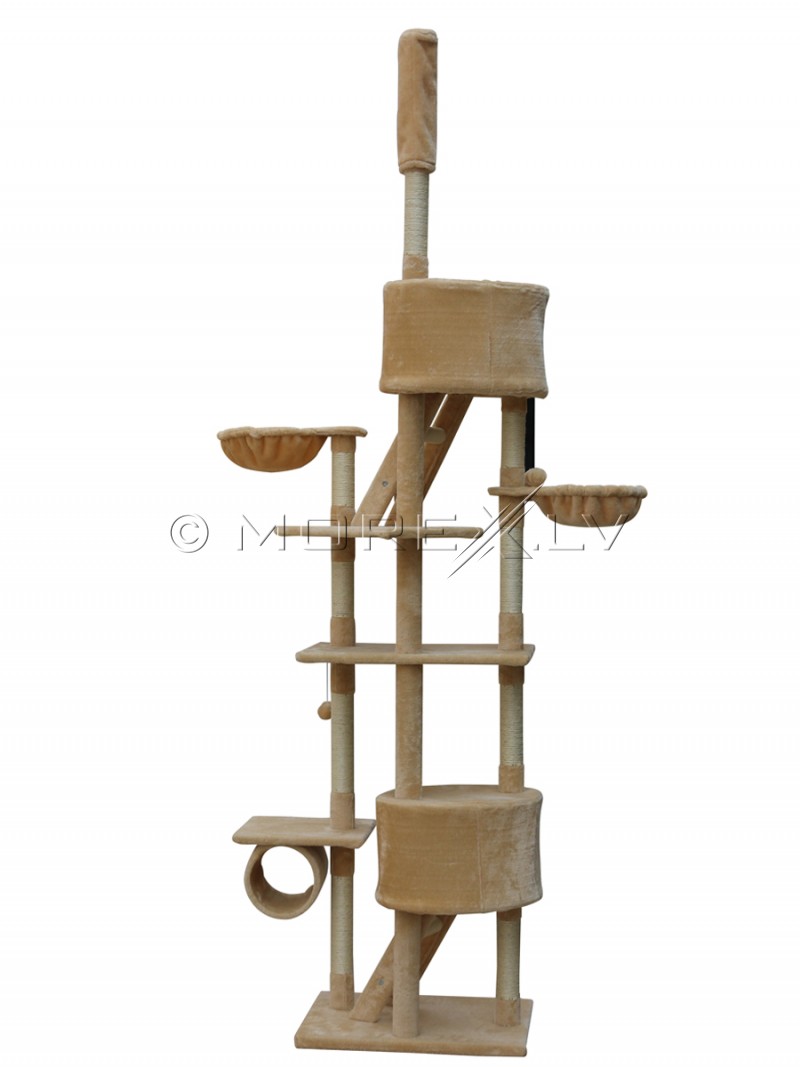 Cat House CAT807 Beige