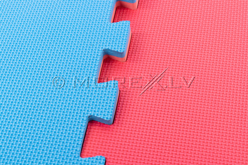 Mat Puzzle 100х100cm 4 pcs. Dual color (DY-EM-095)
