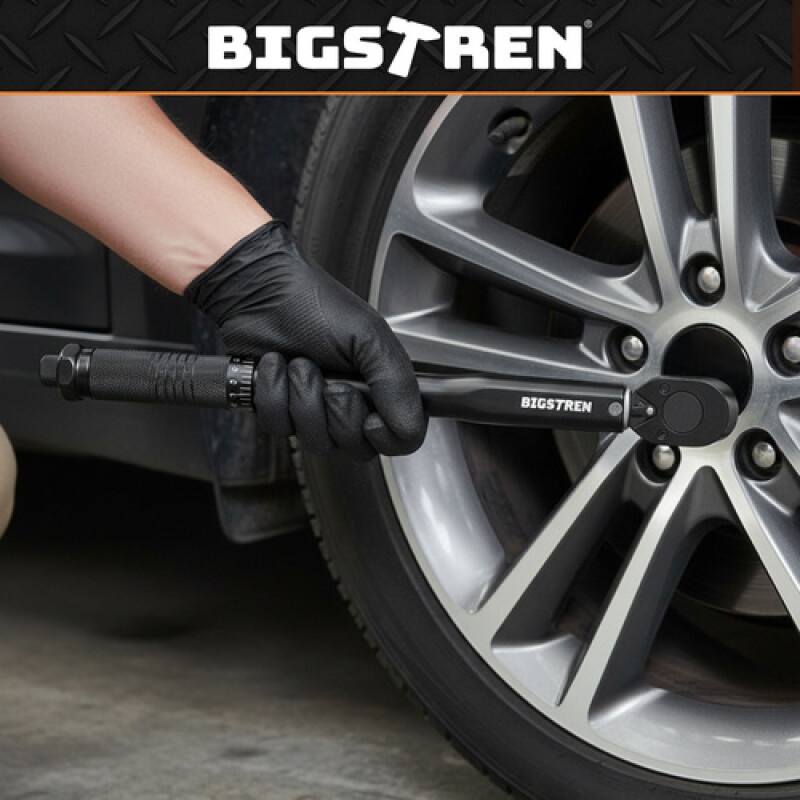 Precision Torque Wrench 3/8" Drive, Range 7–112 Nm