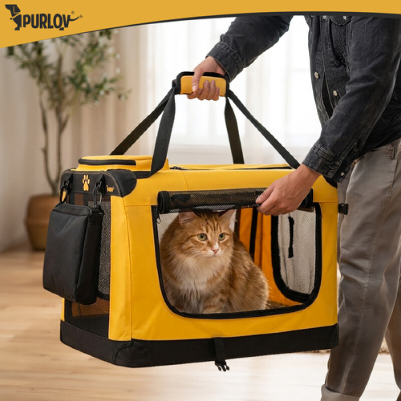 Transporter backpack for dogs and cats