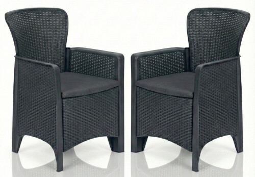 Rotanga dārza krēsli 2 gab., pelēki